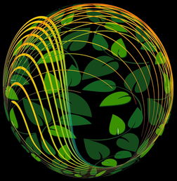 米兰官网-未来青训：生态系统构建助推足球强国梦，足球生态系统建设