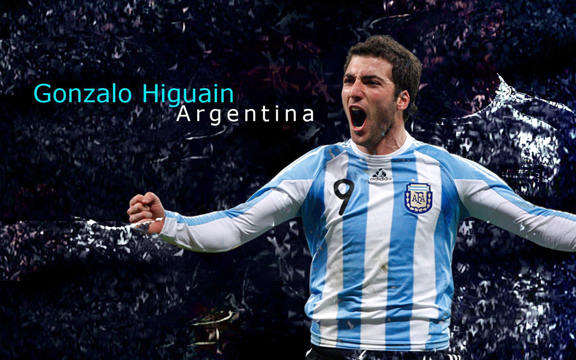 荷兰仰泳节奏转换掌握成熟,仰泳backstroke